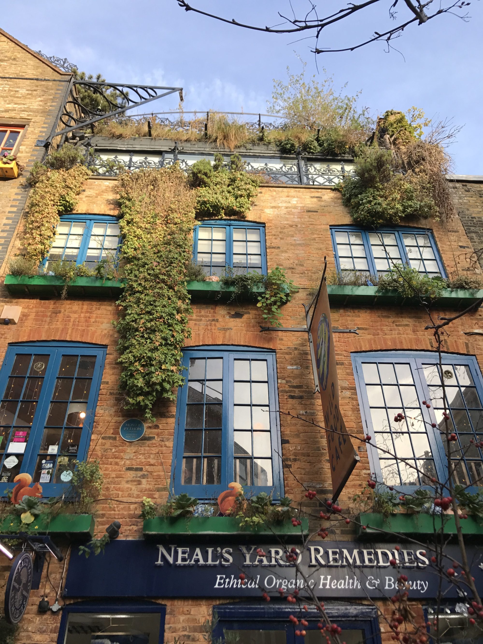 neal's yard