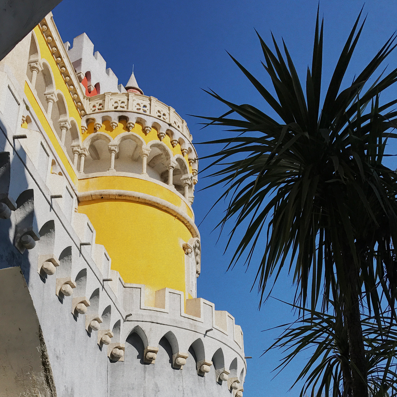 Palacio da pena 05