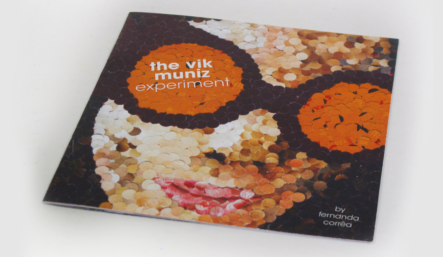 the vik muniz experiment cover